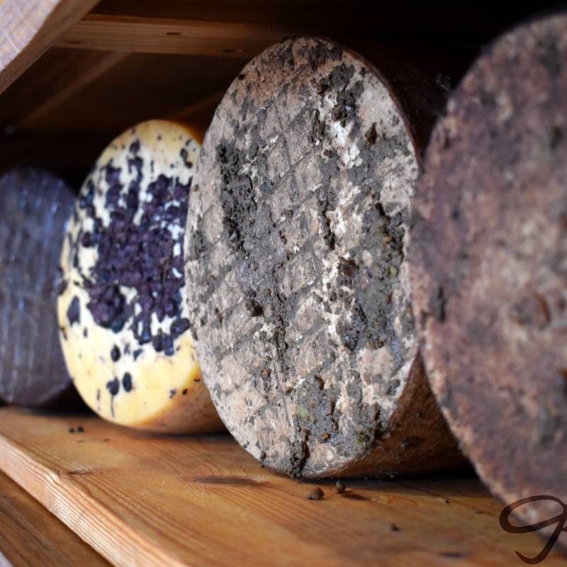 Olive press cheeses