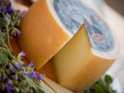 La conservation du fromage