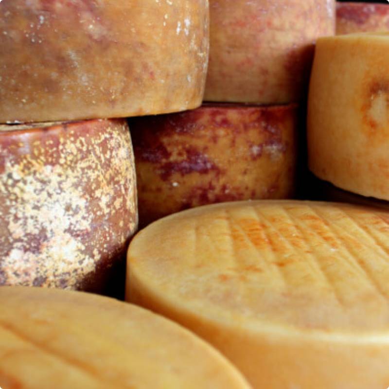 Paški sir (ZOI) iz sirovog mlijeka cijena, prodaja, akcija Hrvatska