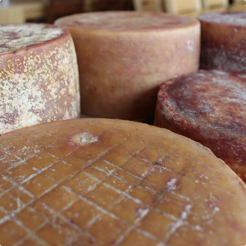Extra old cow cheeses price, sale, discount Croatia